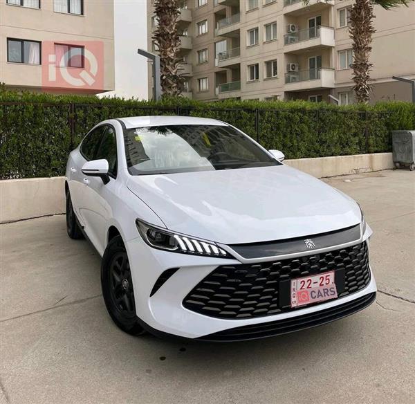 بي واي دي Qin Plus 2025 للبيع في العراق - اربيل